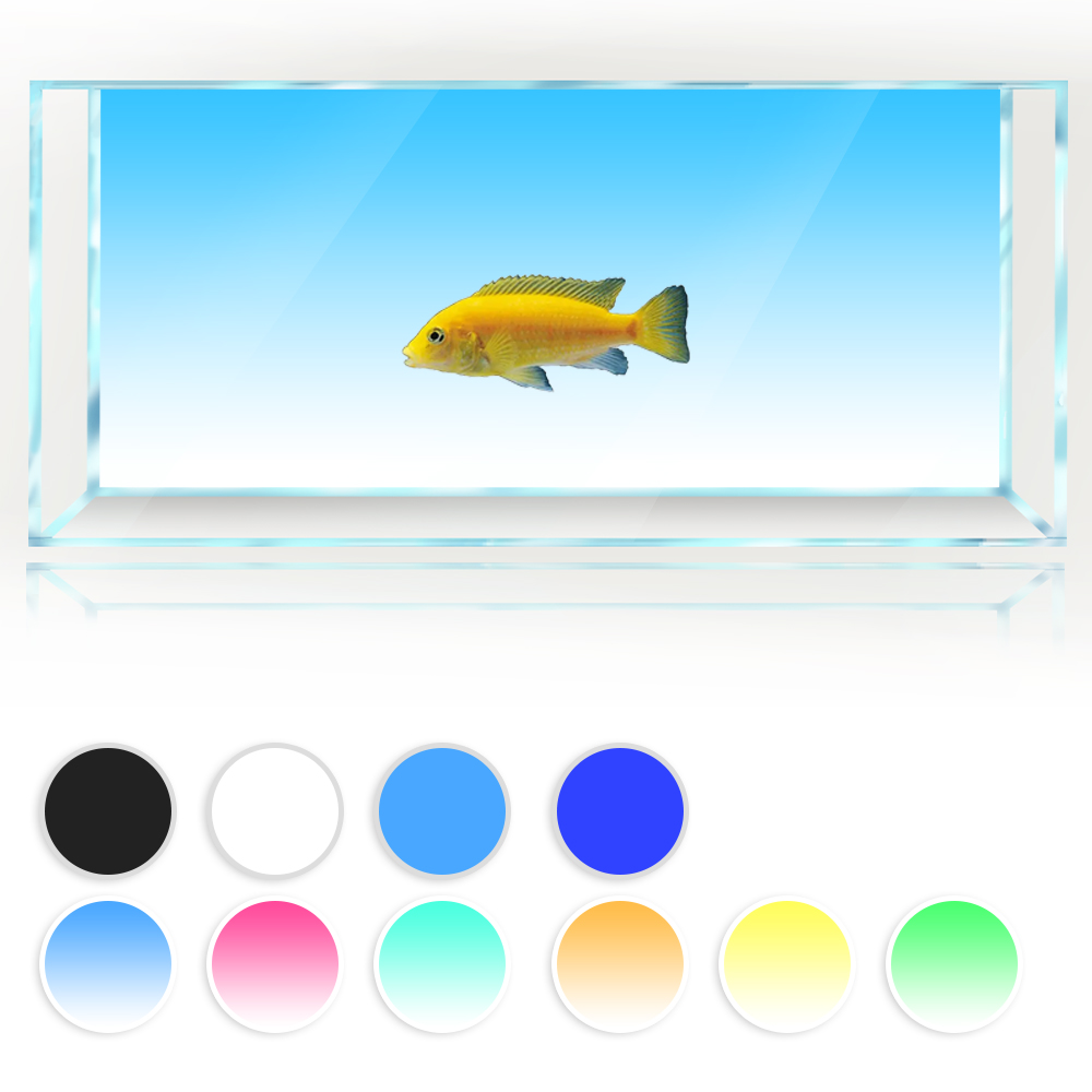 Aquarium Fish Yellow And Black - Fondo de pecera blanco amarillo verde