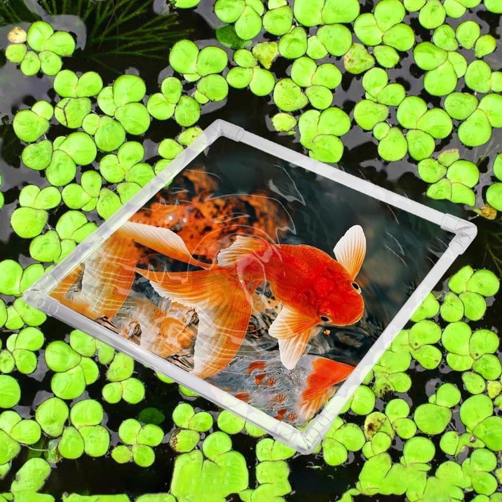 Aquarium Fish Zone - Corral Flotante para Plantas de Acuario,