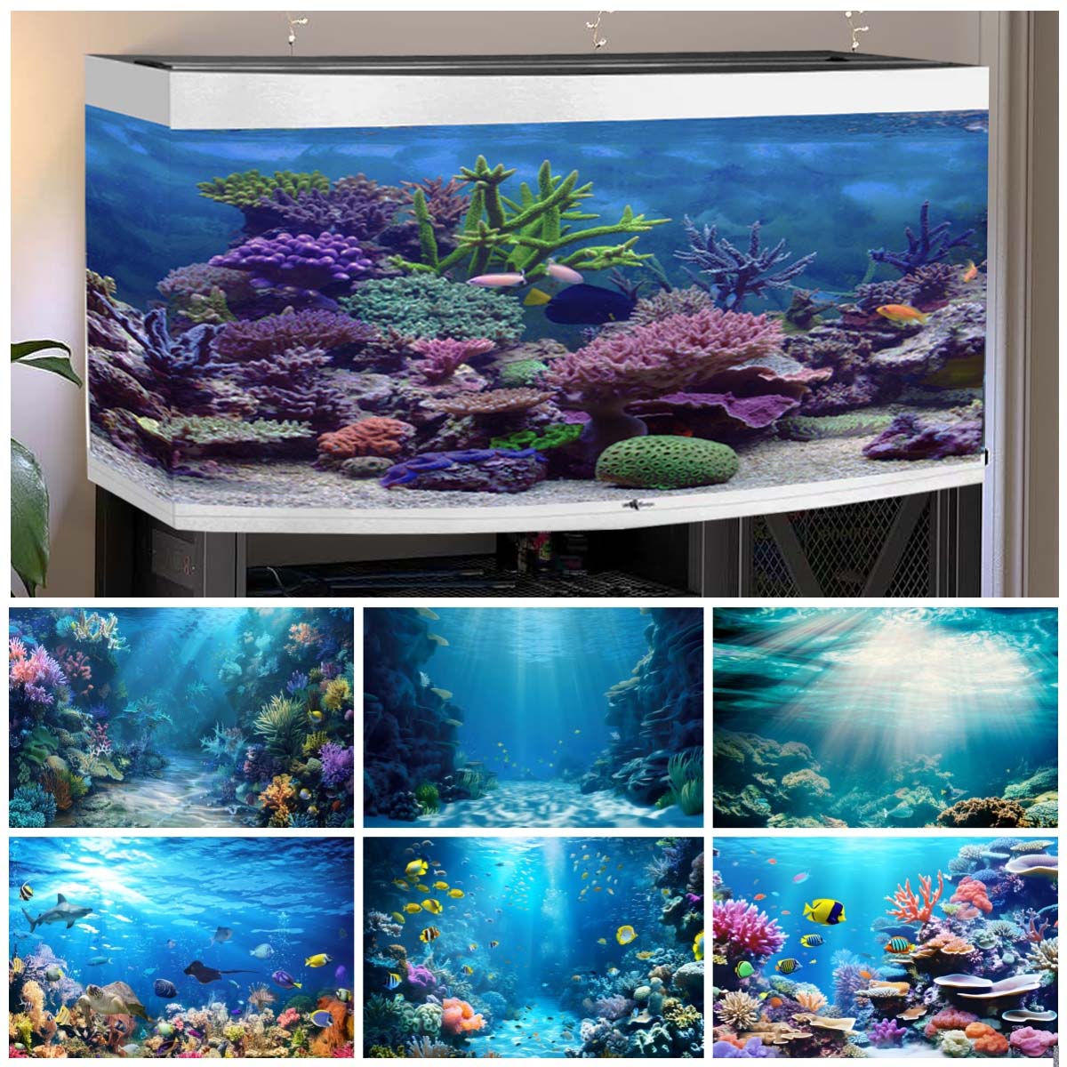 Aquarium Fish World - Fondos del mundo submarino para fotografías,