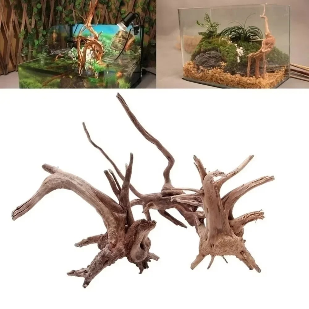 Aquarium Fish Fishing - (15-20cm) Decoración de Madera Natural para