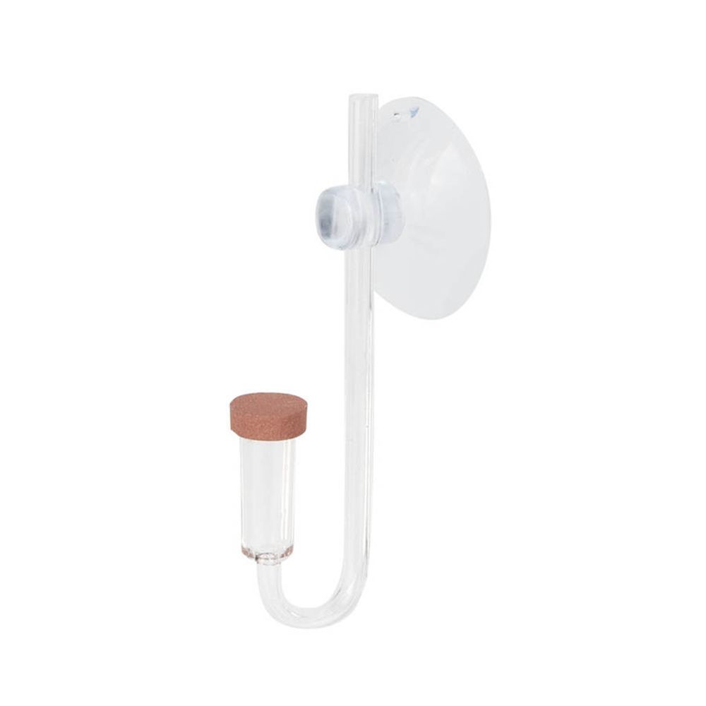 Aquarium Mini Fish - Mini pecera acrílica, planta viva, atomizador