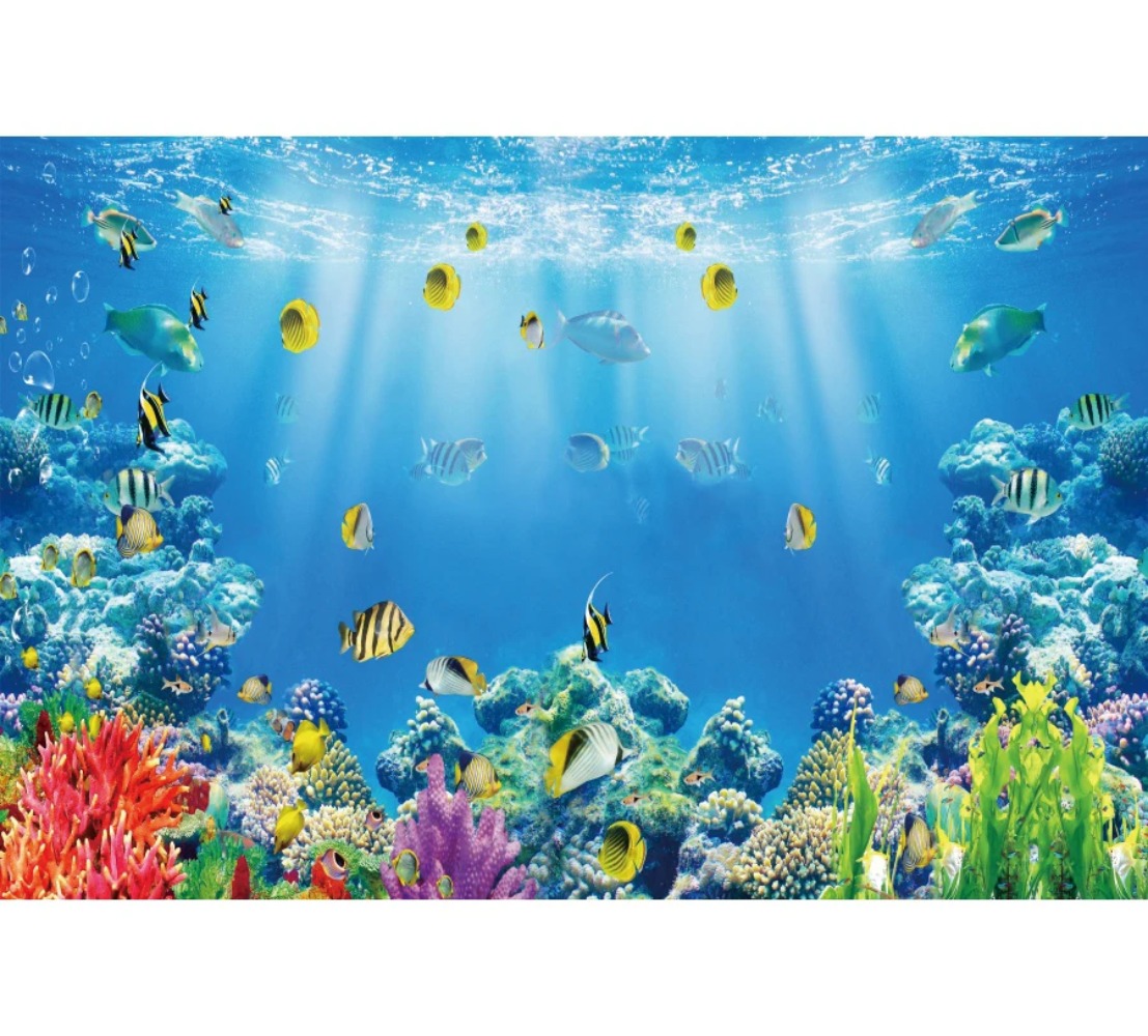 Fondo Fotográfico con Temática - Aquarium Fish World reseña y precio