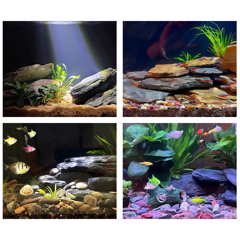Kit de piedras para paisajismo - Aquarium Fish Fishing reseña y precio