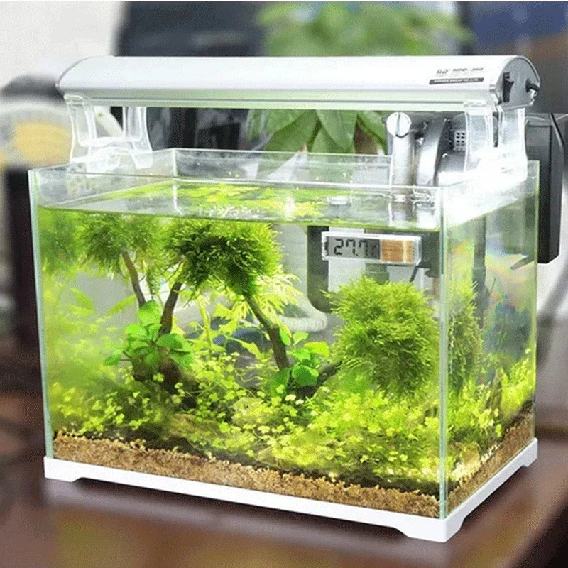 Termómetro de acuario electrón - Aquarium Fish Uk reseña y precio