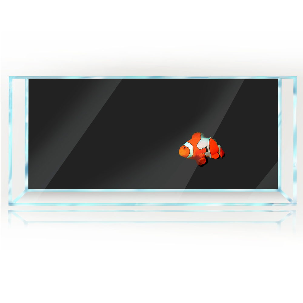 Fondo de pecera blanco amarill - Aquarium Fish Yellow And Black reseña y precio