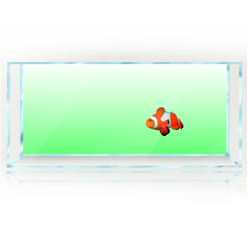 Fondo de pecera blanco amarill - Aquarium Fish Yellow And Black reseña y precio