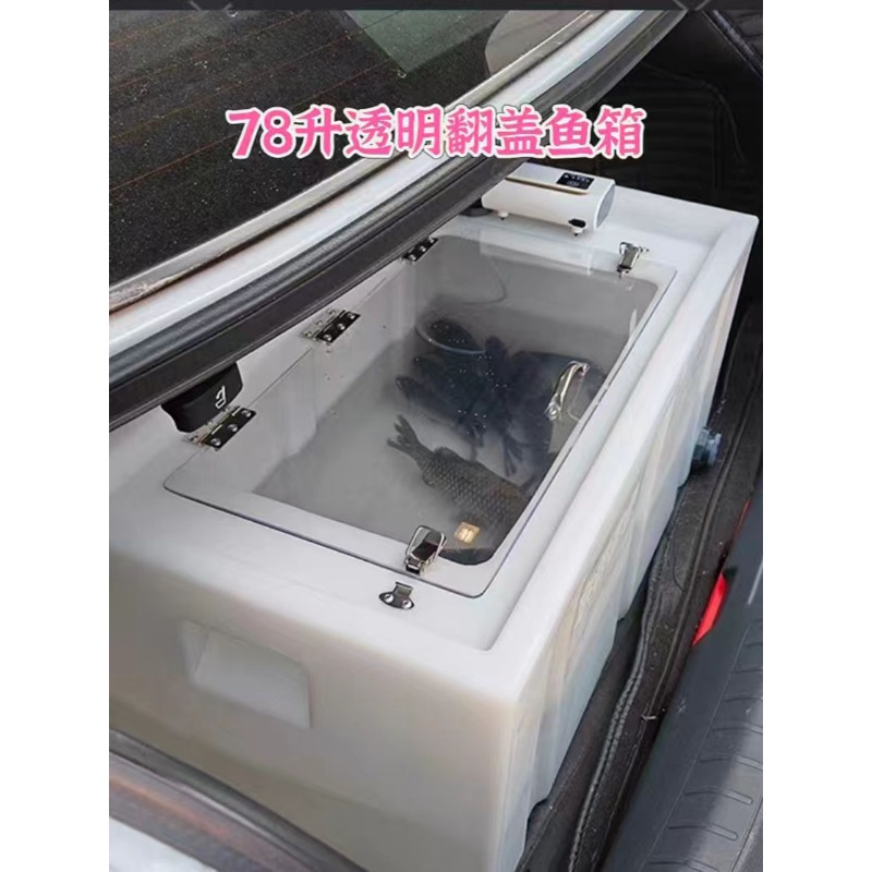 Caja para peces vivos montada  - Aquarium Fish Fishing reseña y precio