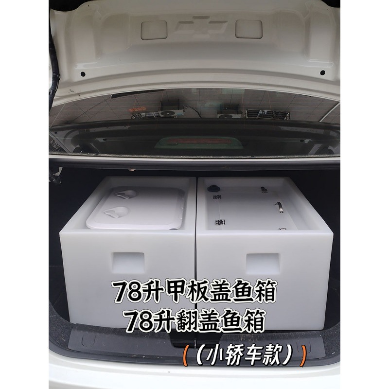 Caja para peces vivos montada  - Aquarium Fish Fishing reseña y precio