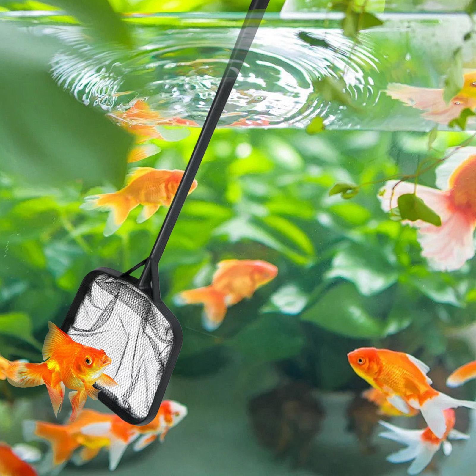 Redes de limpieza para piscina - Aquarium Fish Accessories reseña y precio