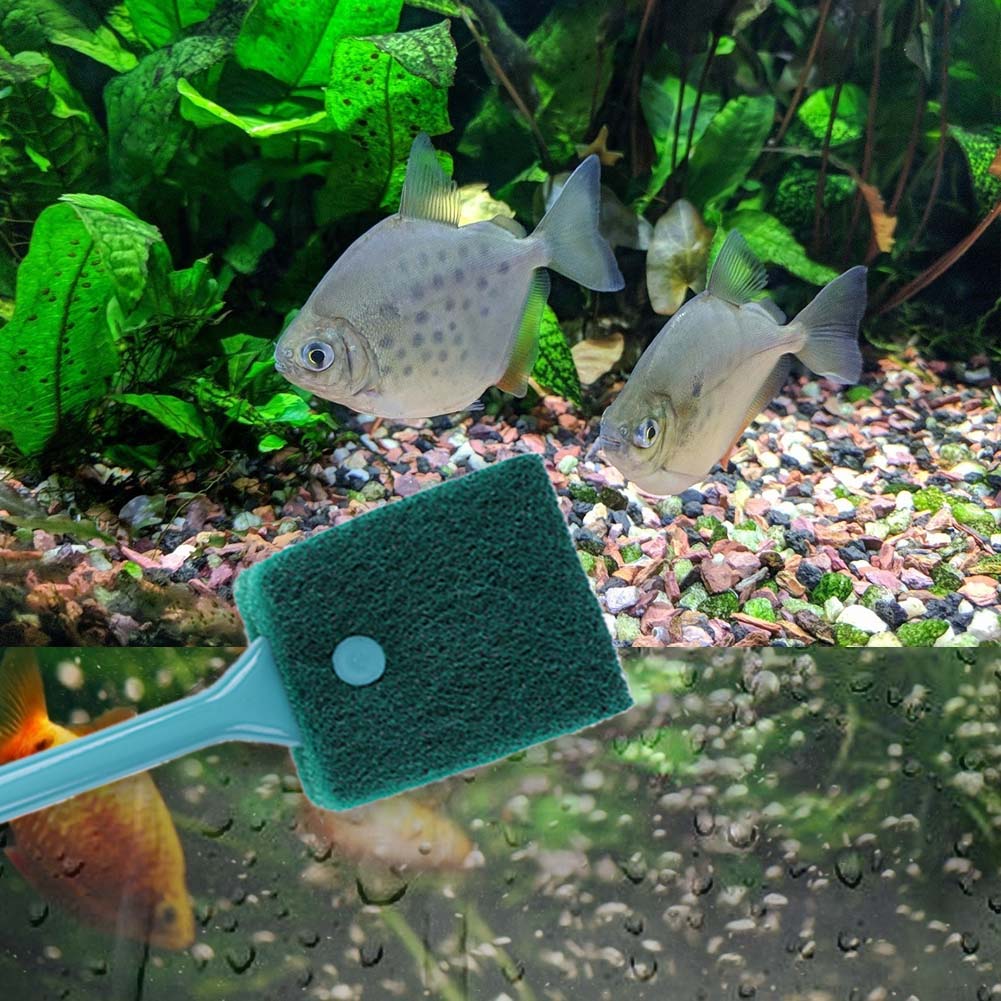 Limpiador de esponja para acua - Aquarium Fish Accessories reseña y precio