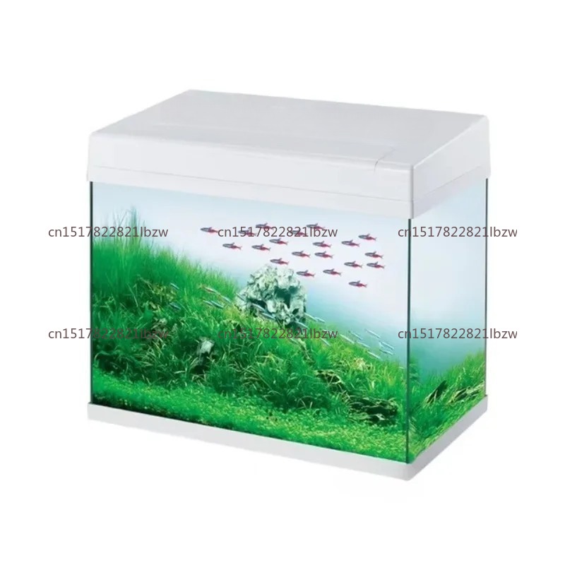 Acuario de Vidrio, Mini Pecera - Aquarium Mini Fish reseña y precio