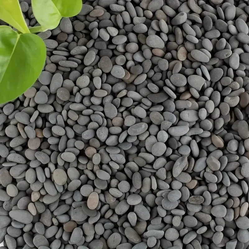 20 piezas de rocas de río natu - Aquarium Fish Fishing reseña y precio