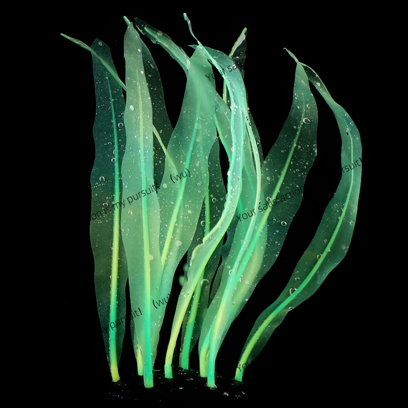 Decoración de plantas de Kelp  - Aquarium Fish World reseña y precio