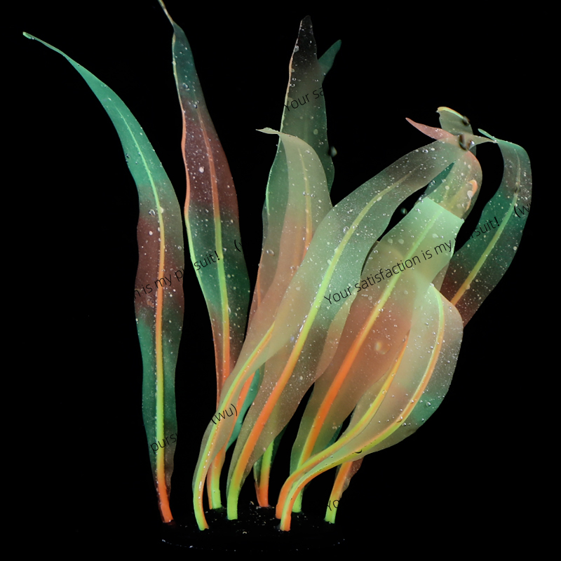 Decoración de plantas de Kelp  - Aquarium Fish World reseña y precio