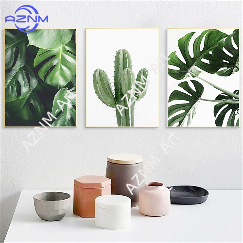 Póster de Monstera con diseño  - Live Plant Fertilizer reseña y precio