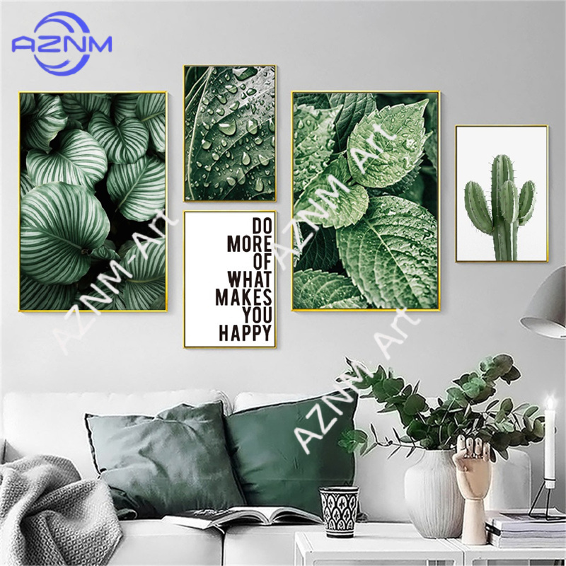 Póster de Monstera con diseño  - Live Plant Fertilizer reseña y precio
