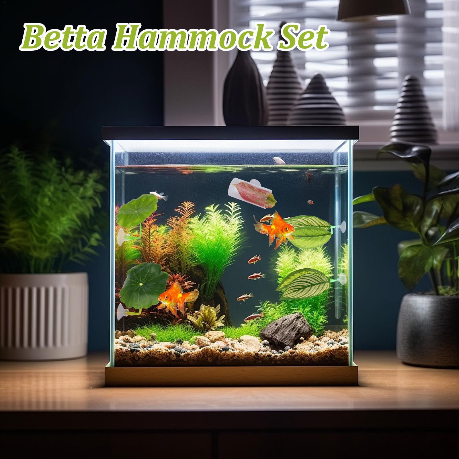 Hamaca de pescado Betta, 5 pie - Fish Toy In Aquarium reseña y precio