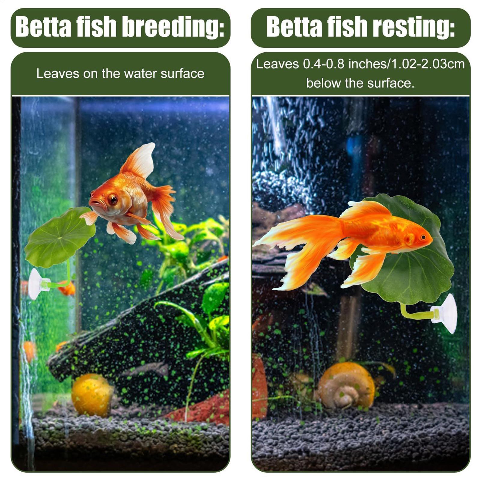 Hamaca de pescado Betta, 5 pie - Fish Toy In Aquarium reseña y precio