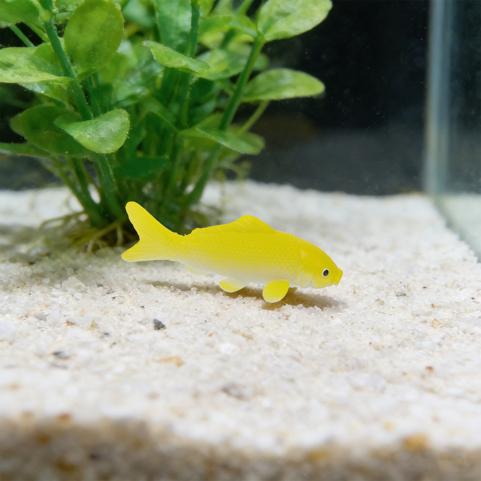 3 Piezas de Figuras de Peces R - Fish Toy In Aquarium reseña y precio