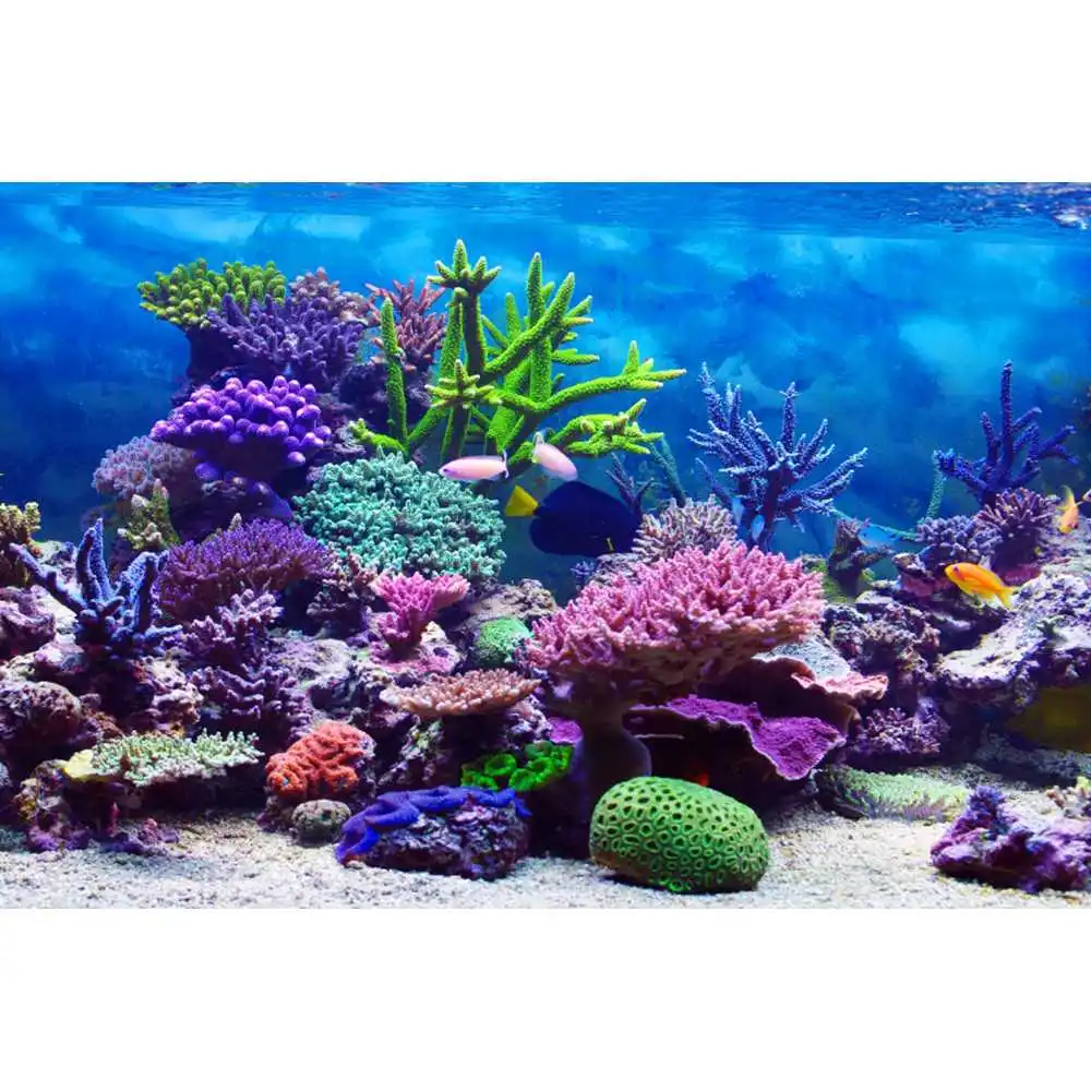 Fondo de Fotografía de Cumplea - Aquarium Fish World reseña y precio