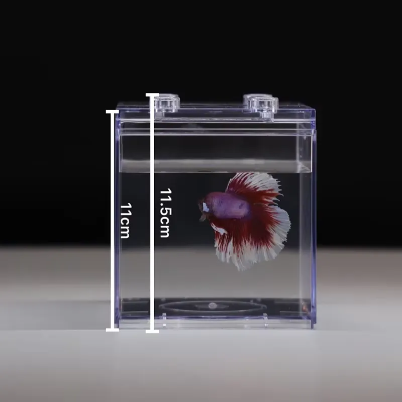 Mini Acuario Relaxlines, Decor - Aquarium Mini Fish reseña y precio