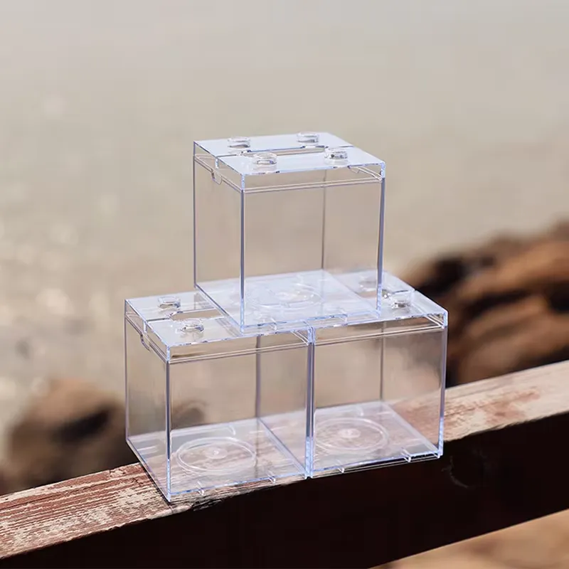 Mini Acuario Relaxlines, Decor - Aquarium Mini Fish reseña y precio