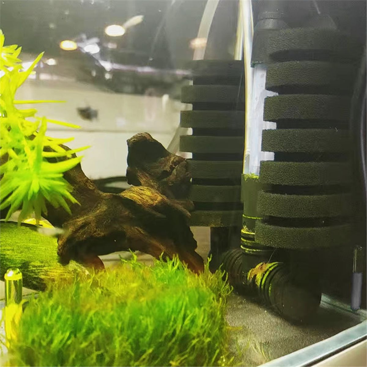【LISTA DE PRODUCTOS IMPRESCIND - Aquarium Fish List reseña y precio