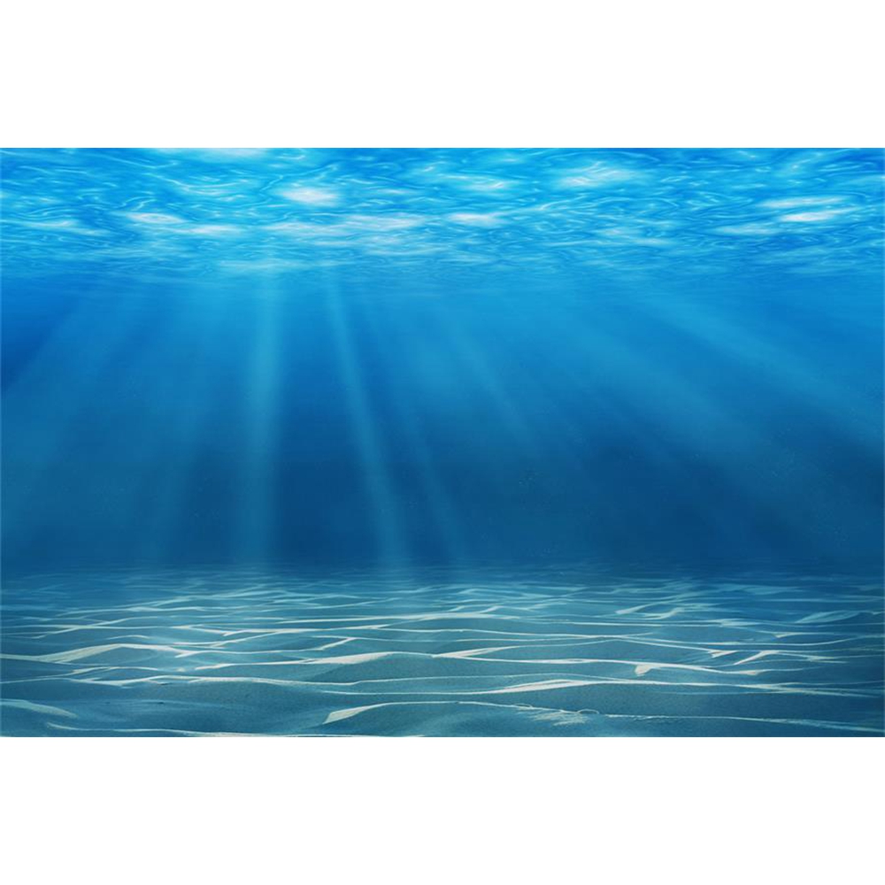 Fondo de fotografía de fondo m - Aquarium Fish World reseña y precio