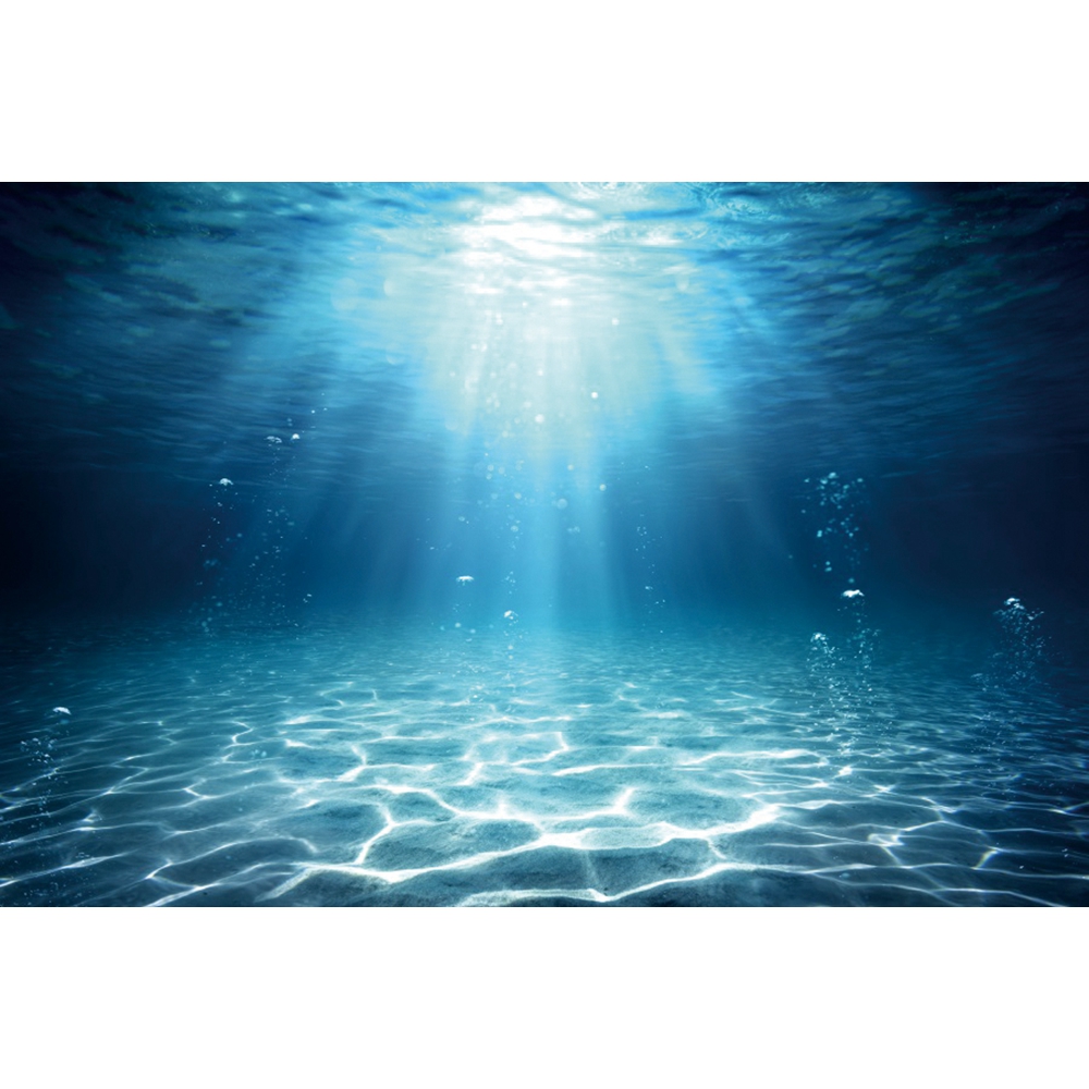 Fondo de fotografía de fondo m - Aquarium Fish World reseña y precio