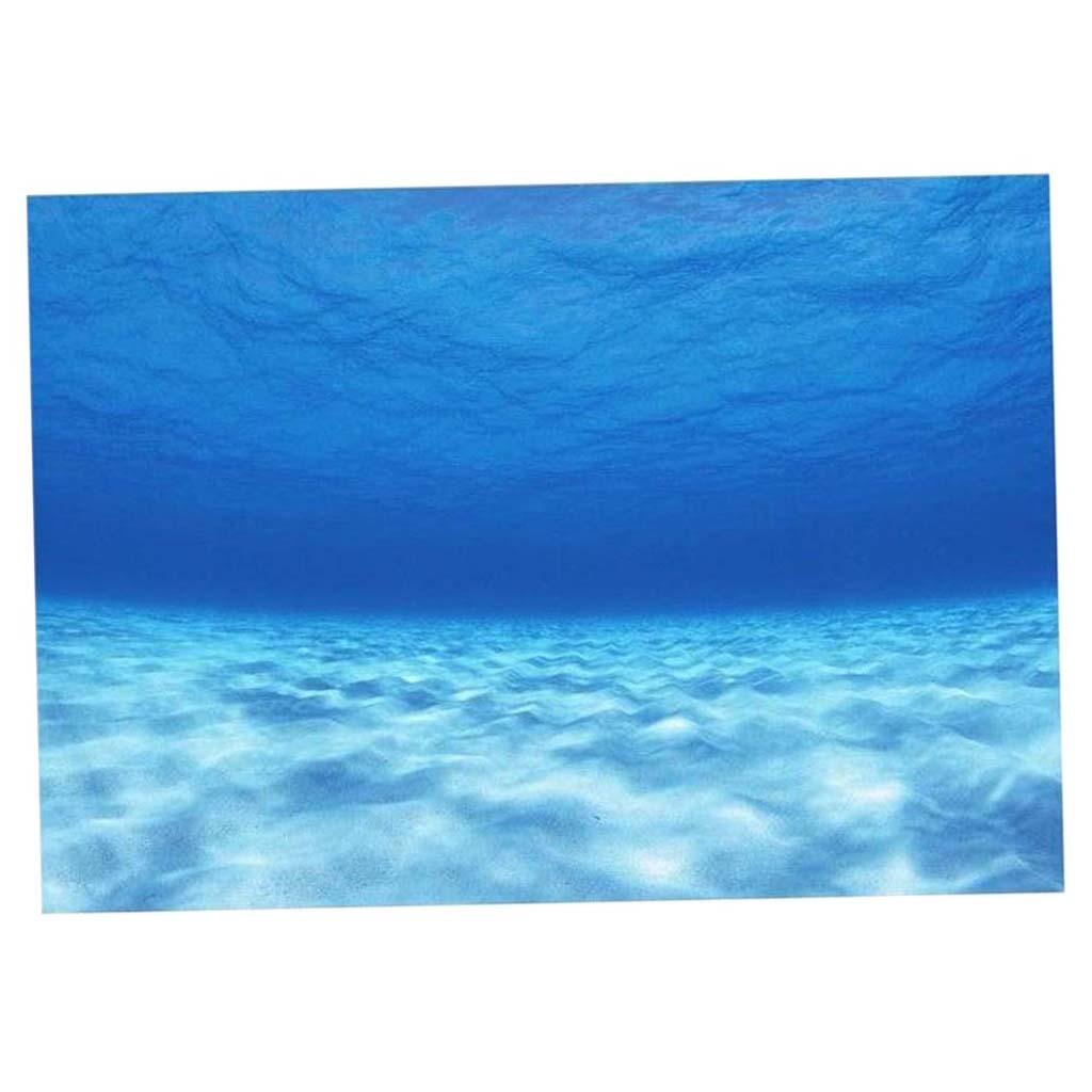 Póster de fondo decorativo lat - Aquarium Fish World reseña y precio