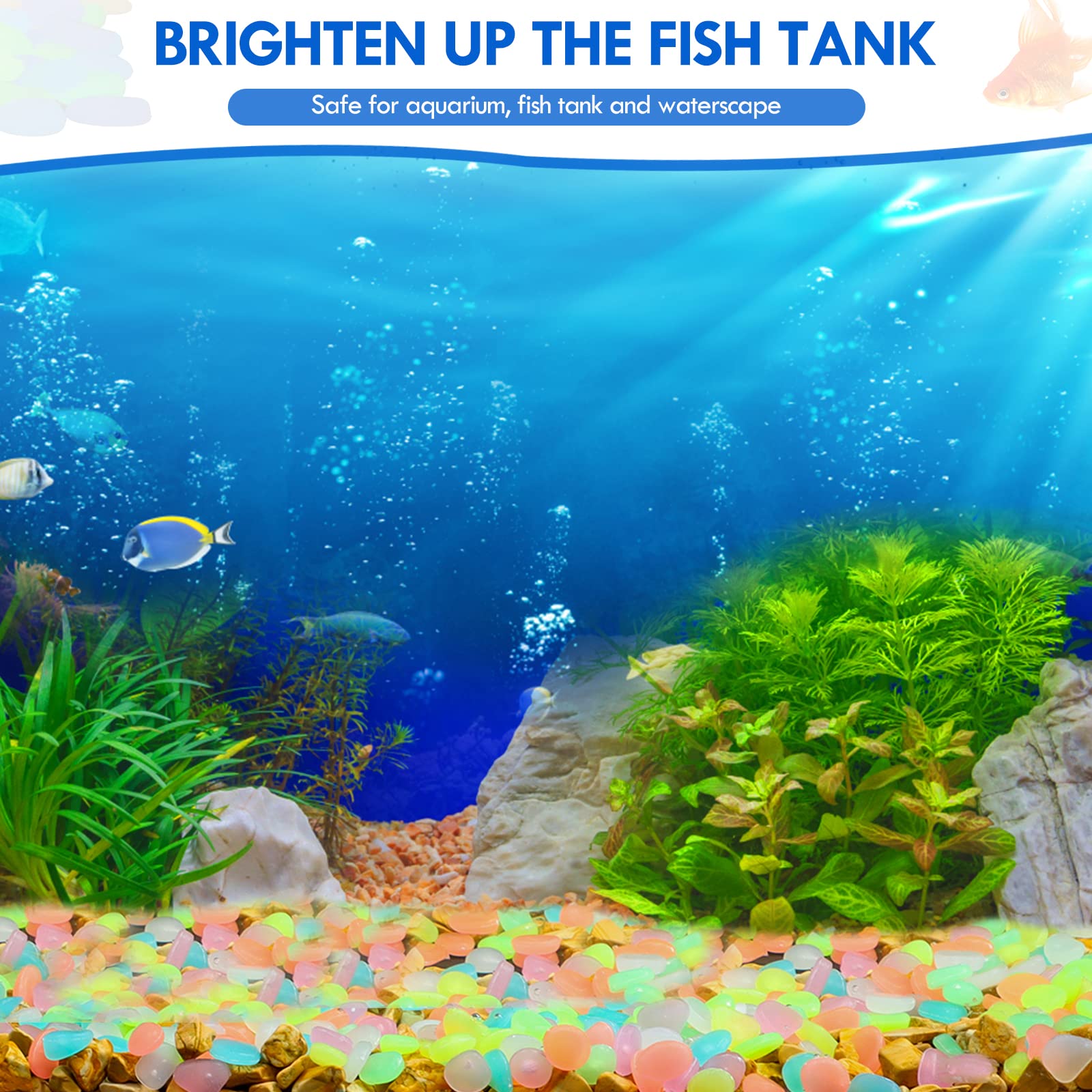 100 Uds. De guijarros que bril - Aquarium Fish Fishing reseña y precio
