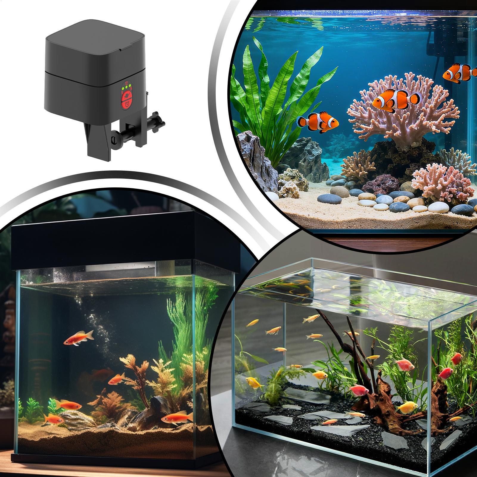 Alimentador automático de pece - Fish Toy In Aquarium reseña y precio