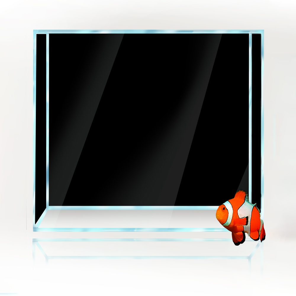 Fondo cuadrado para pecera, pa - Aquarium Fish Yellow And Black reseña y precio