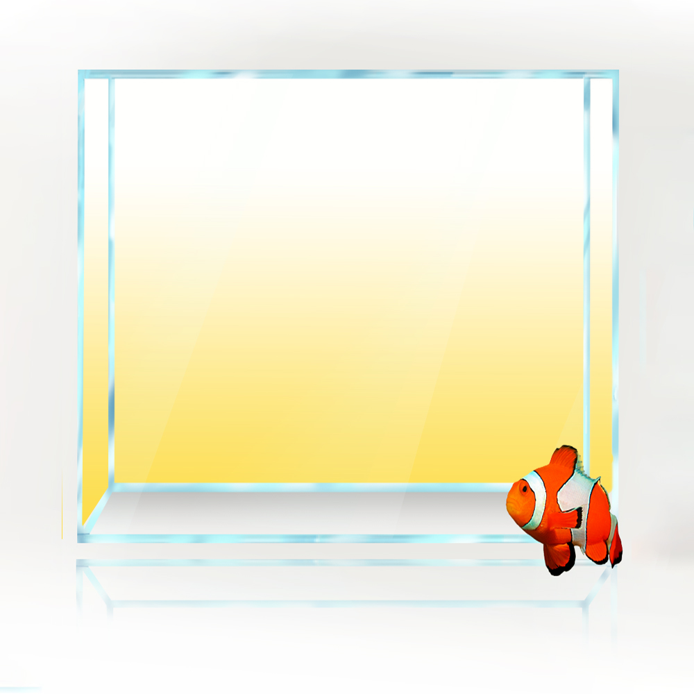 Fondo cuadrado para pecera, pa - Aquarium Fish Yellow And Black reseña y precio